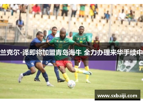 兰克尔-泽即将加盟青岛海牛 全力办理来华手续中