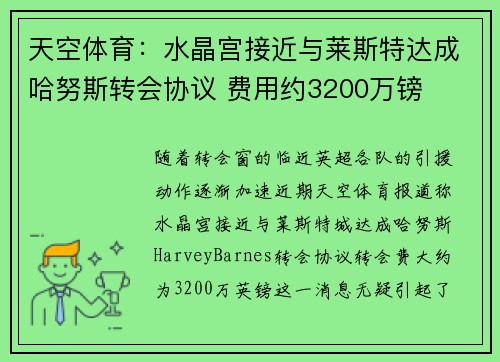 天空体育：水晶宫接近与莱斯特达成哈努斯转会协议 费用约3200万镑