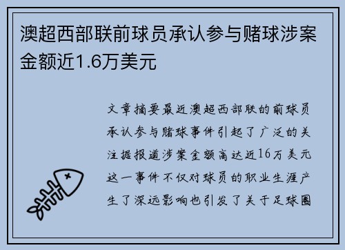 澳超西部联前球员承认参与赌球涉案金额近1.6万美元